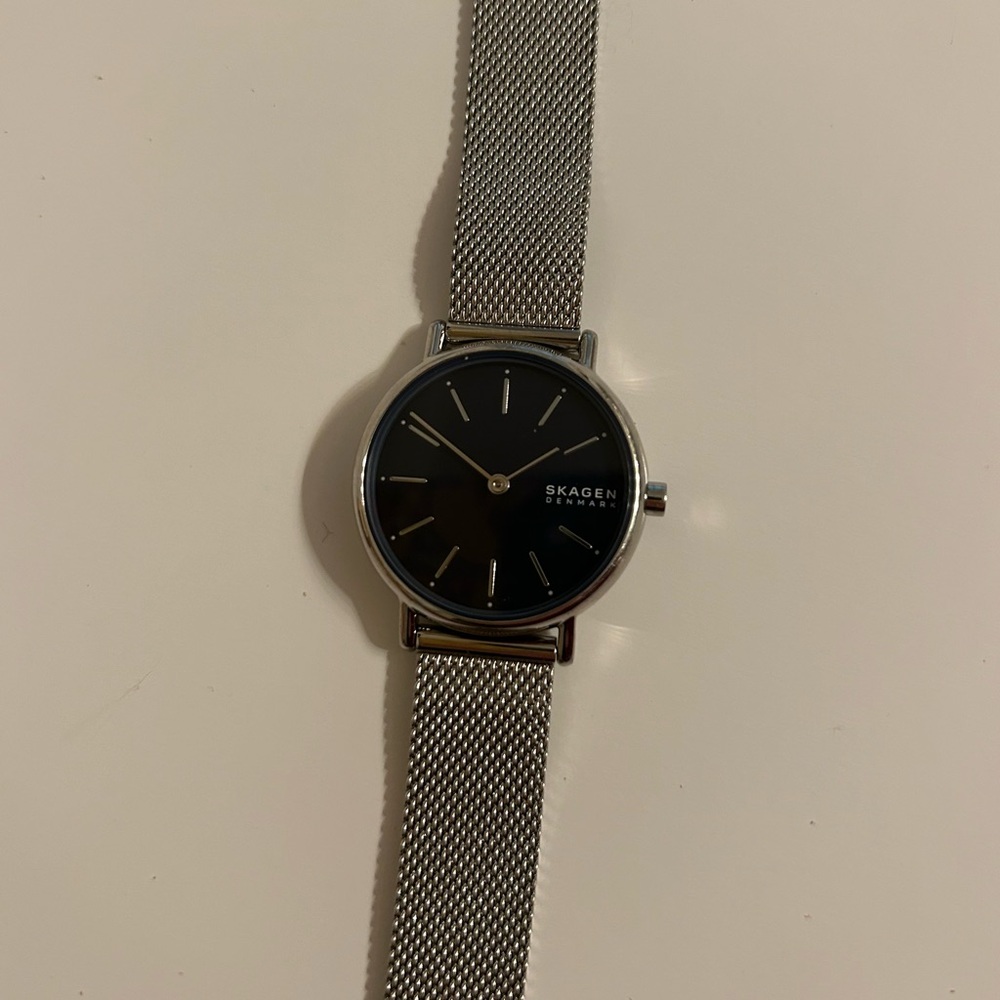 Skagen Denmark Watch